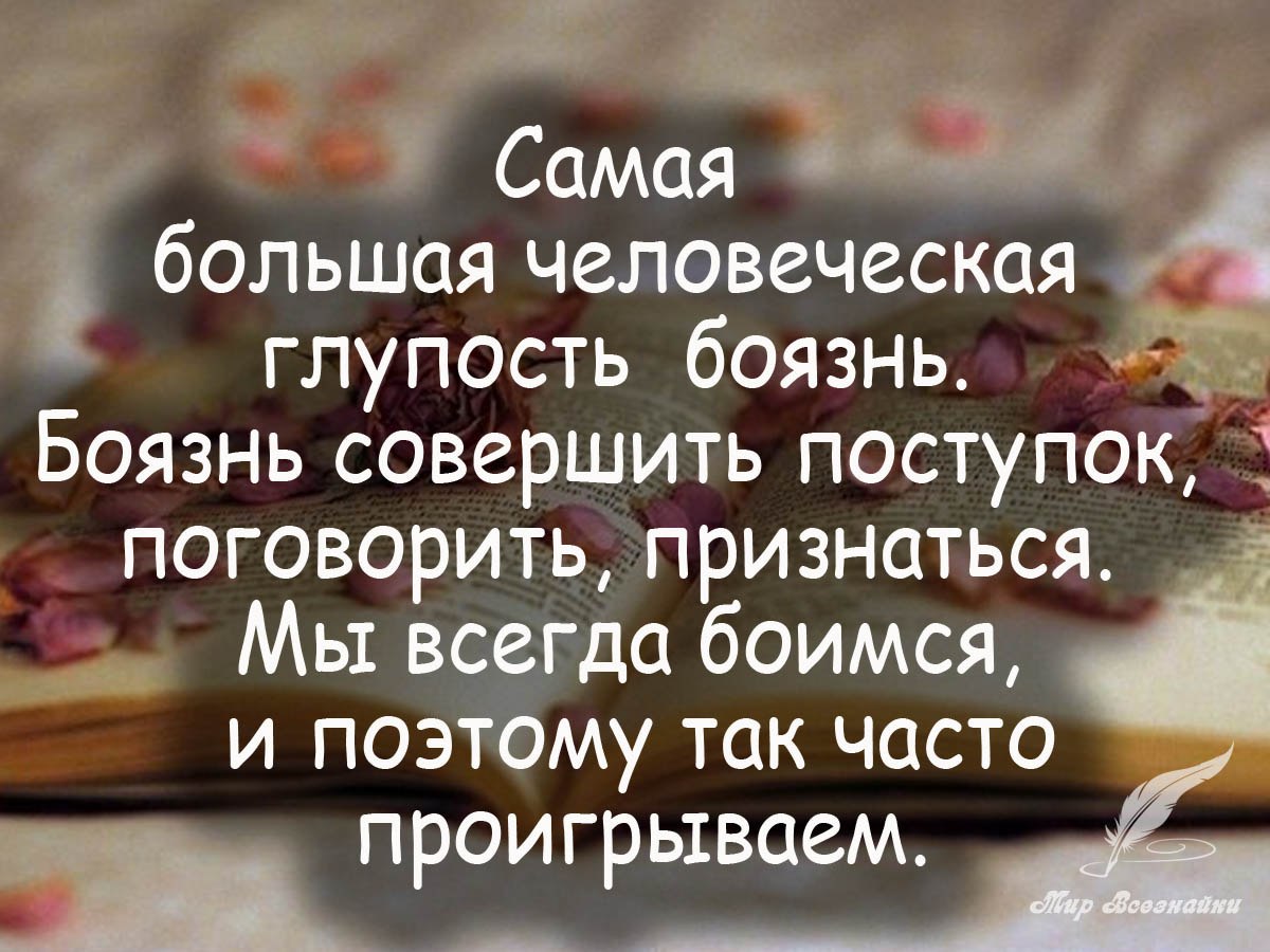        ,      - <a href=
