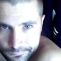 , 41, 