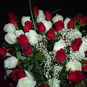 ���� ���, ����� - ��������� 9 ������ 2016 � ������ ������ ��������