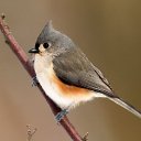  ••,  -  28  2015   