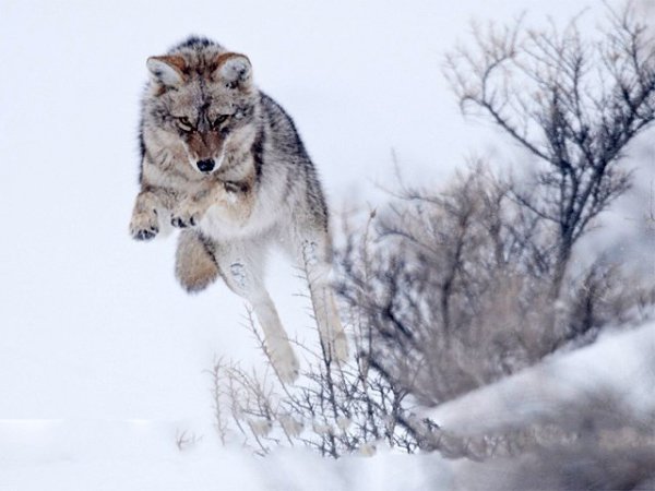 ����� ������� - 4 ������ 2015 � 18:45