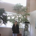 ���� ��������, �����-���������, 61 ��� - ��������� 25 ������� 2015 � ������ ���� ����������