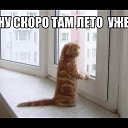  Lyubyov,  -  18  2016    