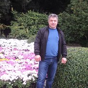  , 56 , 