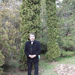 ������, ������, 73 ����