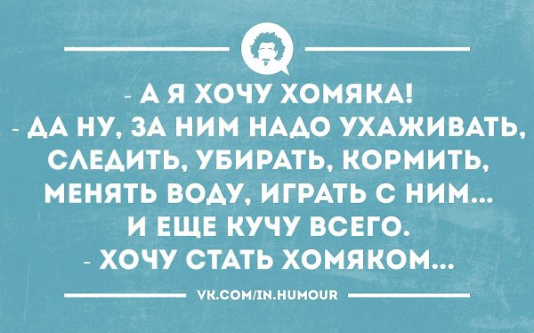  - ,  - 24  2016  13:18