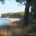 ���� ���������, �����������, 69 ��� - ��������� 1 ����� 2016 � ������ ���������.�������� 2015�