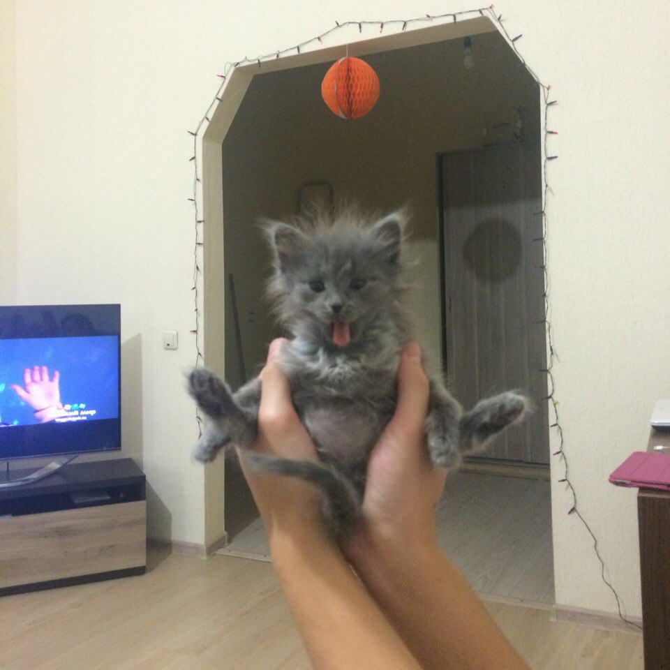 :3