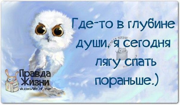  - 5  2015  00:28