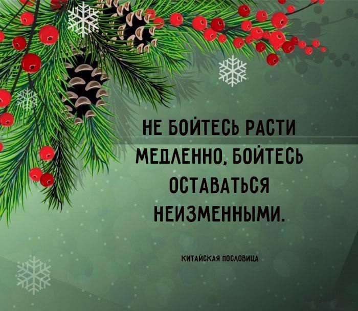    - 24  2015  08:37
