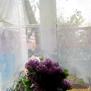 ���� ������, ���������, 62 ���� - ��������� 30 ������ 2015 � ������ ���� ����������