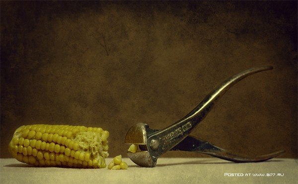 Still Life... George Rustchev - 5