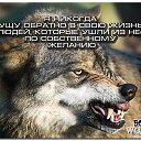 ���� Ivan, ���� - ��������� 13 ������� 2015