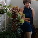 ���� �������, �������, 68 ��� - ��������� 2 ������� 2015 � ������ ���� ����������