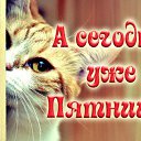 ���� ��������, ������, 49 ��� - ��������� 6 ������� 2016 � ������ �������� ��������
