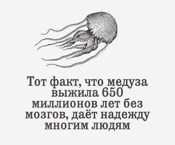 ���������� ����� vk.com/ranks.https://vk.com/ranks