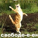 ���� ��������, ������ - ��������� 13 ������� 2016 � ������ ������ ��������