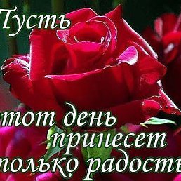 ���� ��������, ������, 56 ��� - ��������� 27 ������ 2015