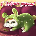 ���� ����, ������, 54 ���� - ��������� 8 ������ 2016 � ������ �������� ��������
