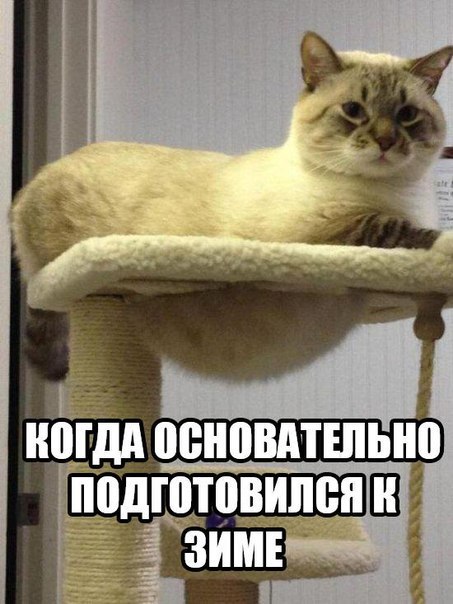       - 16  2015  19:32
