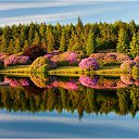  , , 52  -  8  2015   !!!