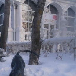 ����, ���������, 43 ����