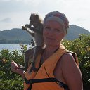 ���� ����, ������������, 55 ��� - ��������� 29 ������� 2015 � ������ ������ ��������