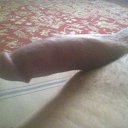 ���� �����, �����-���������, 39 ��� - ��������� 31 ������� 2015 � ������ �18�