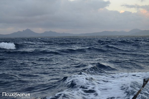   ,        ,   . , ...