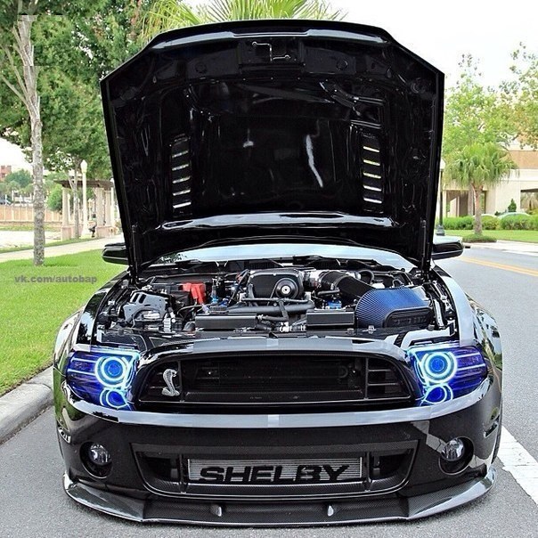 Shelby GT500.
