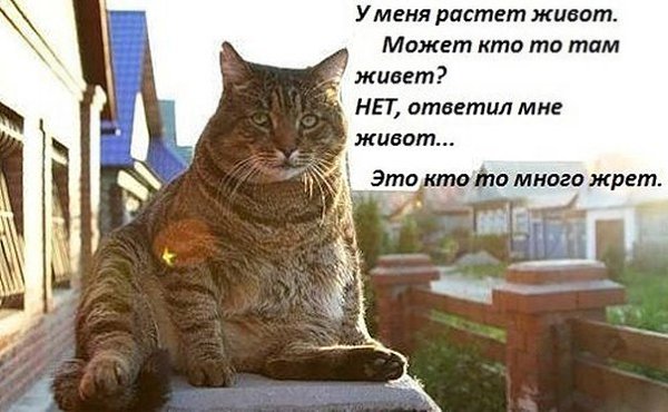  - 5  2015  18:16