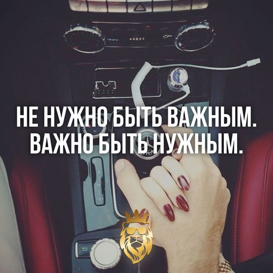 IQ Blog: ��������, ��������, ���������, ����� - 20 ������� 2015 � 23:25