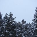 ���� �����, ������ ��������, 54 ���� - ��������� 10 ������ 2016 � ������ ���������