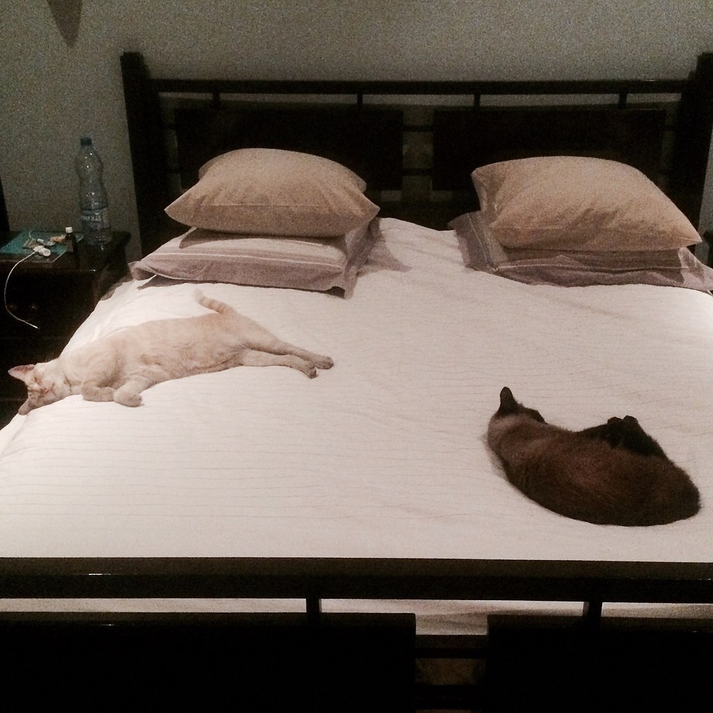 ���� �����!