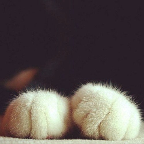   ,     .#@https://fotostrana.ru/away?to=/sl/XE2