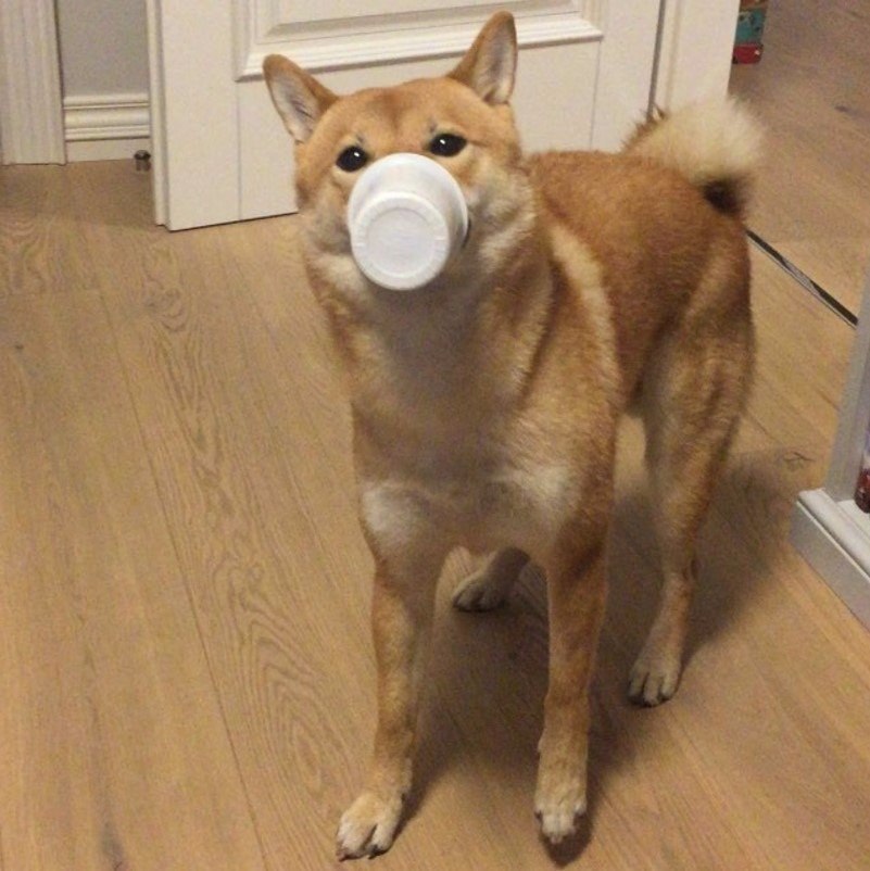 ,  - ,        ! - 3