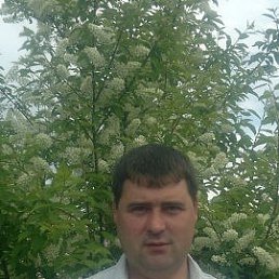 , 47, 