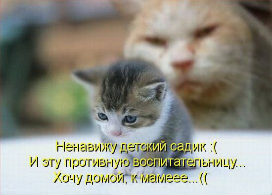       - 10  2015  10:36