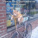 ���� �������, ������ - ��������� 25 ������ 2016 � ������ ���� ����������