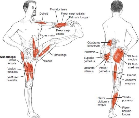    .         ,   ... - 6