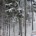 ���� Z ����, �������, 70 ��� - ��������� 7 ����� 2016 � ������ ���� ����������