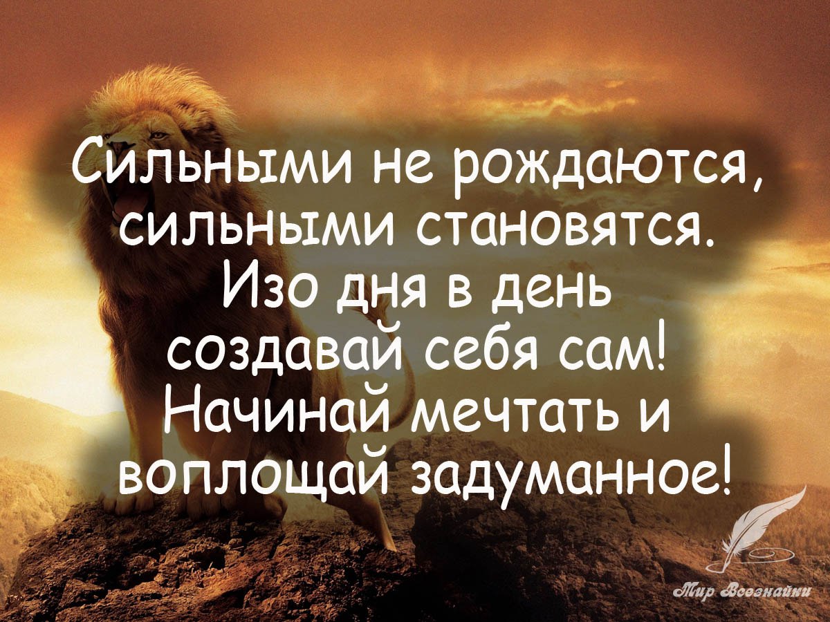        ,      - <a href=