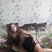 ���� �����, ����������� - ��������� 15 ������� 2016