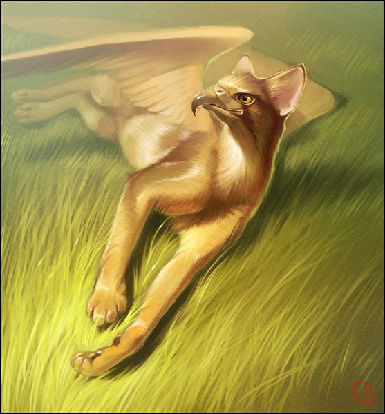 by Gaudi Buendia - 2