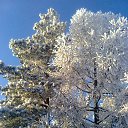 ���� ��������, ������� ���� - ��������� 2 ������� 2015 � ������ ������ ��������