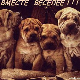 ���� �leksandr, ����, 38 ��� - ��������� 14 ������ 2016