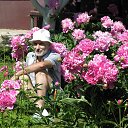  , -, 79  -  27  2015