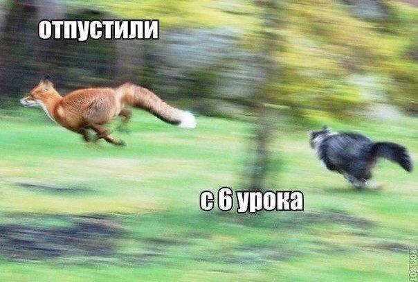    :D - 10  2015  21:56