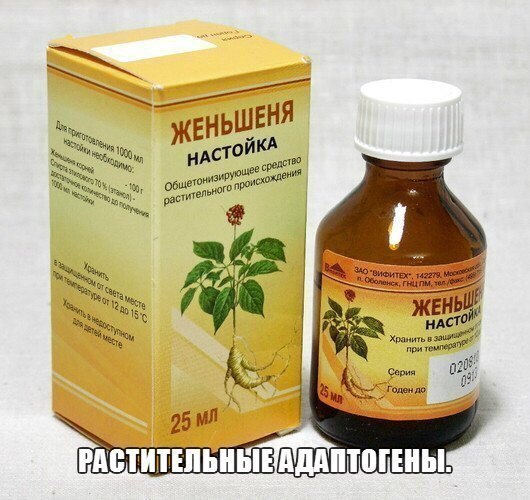 Растительные адаптогены. Наиболее эффективными адаптогенами в спорте признаны: женьшень, ...