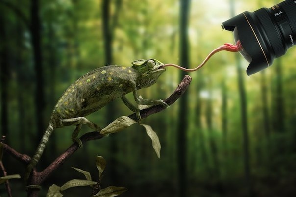        (John Wilhelm) - 4